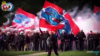 Top 10 des supporters de FOOT les plus DINGUES !