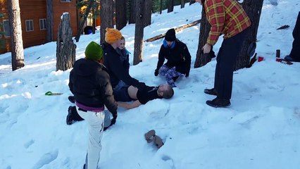 Descente en luge + Arbre = KO