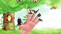 Birds Finger Family Nursery Rhyme | Egle,owl,Fish,Ant etc Birds finger family nursery kids rhyme