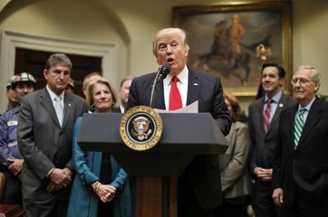 Trump team considered using National Guard troops for immigration roundups