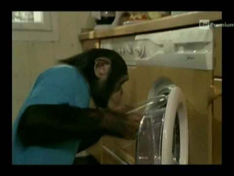 Il nostro amico Charly 3x09 - Charly pilota