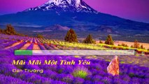 Mãi Mãi Một Tình Yêu Karaoke - Tone Thấp (Đan Trường)