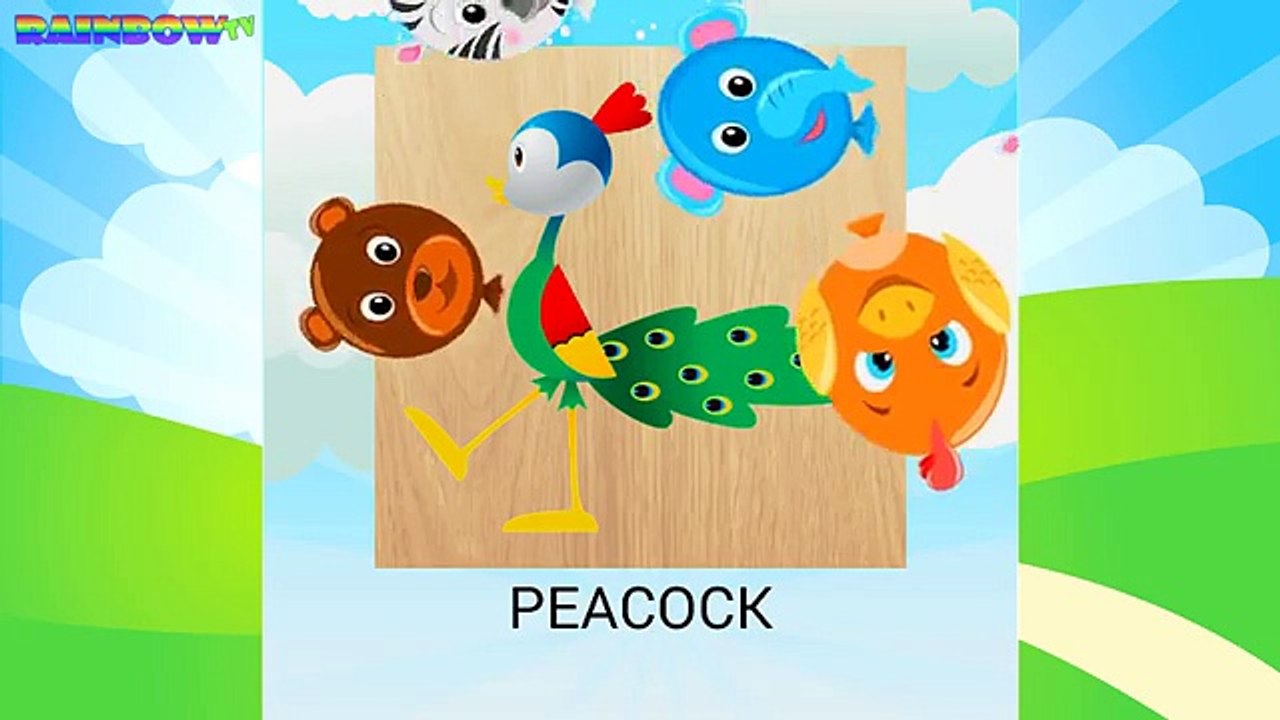 Animals Puzzles For Kids: Learn Animals And Insects. Learn English. Educational Video For Kids.