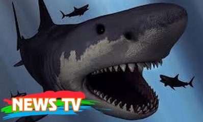 Phát hiện dấu tích của loài cá "có họ" với siêu cá mập Megalodon