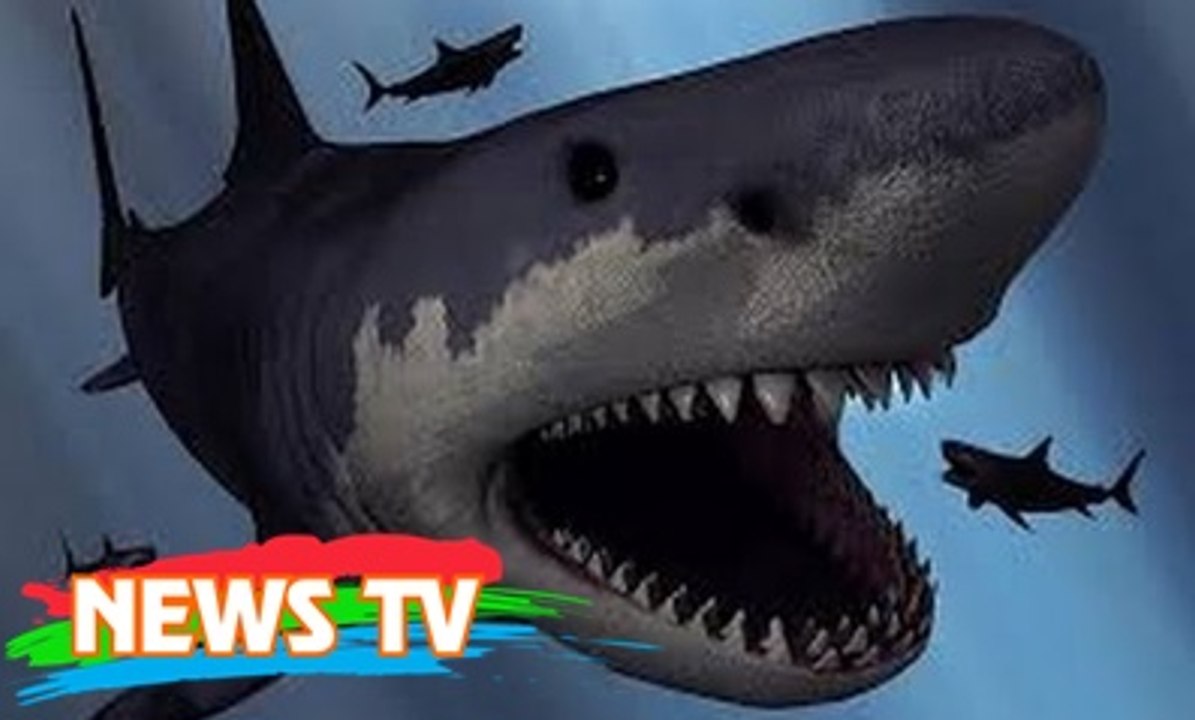 Phát hiện dấu tích của loài cá "có họ" với siêu cá mập Megalodon