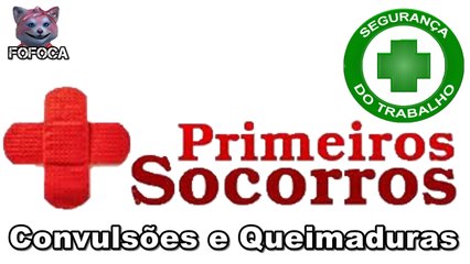 Técnico de Segurança do Trabalho - Primeiros Socorros - Convulsões e Queimaduras
