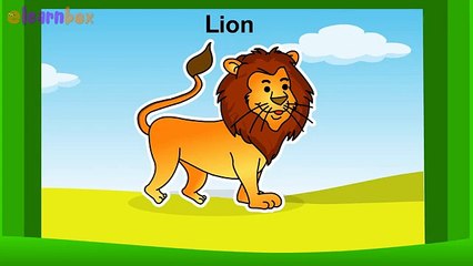 Learn Wild Animals! Animals Names Videos For Childrens