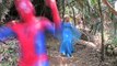 Spiderman Kisses Frog Frozen Elsa vs. Maleficent Prank Fun Superhero Kids In Real Life In