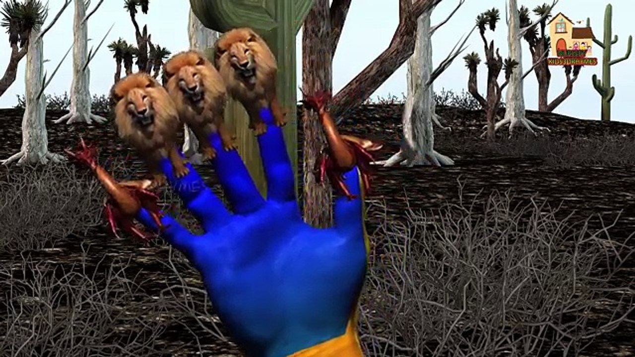 Lion Finger family nursery 3d English rhymes | Funny Animals Finger Family kis songs