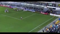 Santos 6 x 2 Linense - Gols e Melhores Momentos - Campeonato Paulista 2017