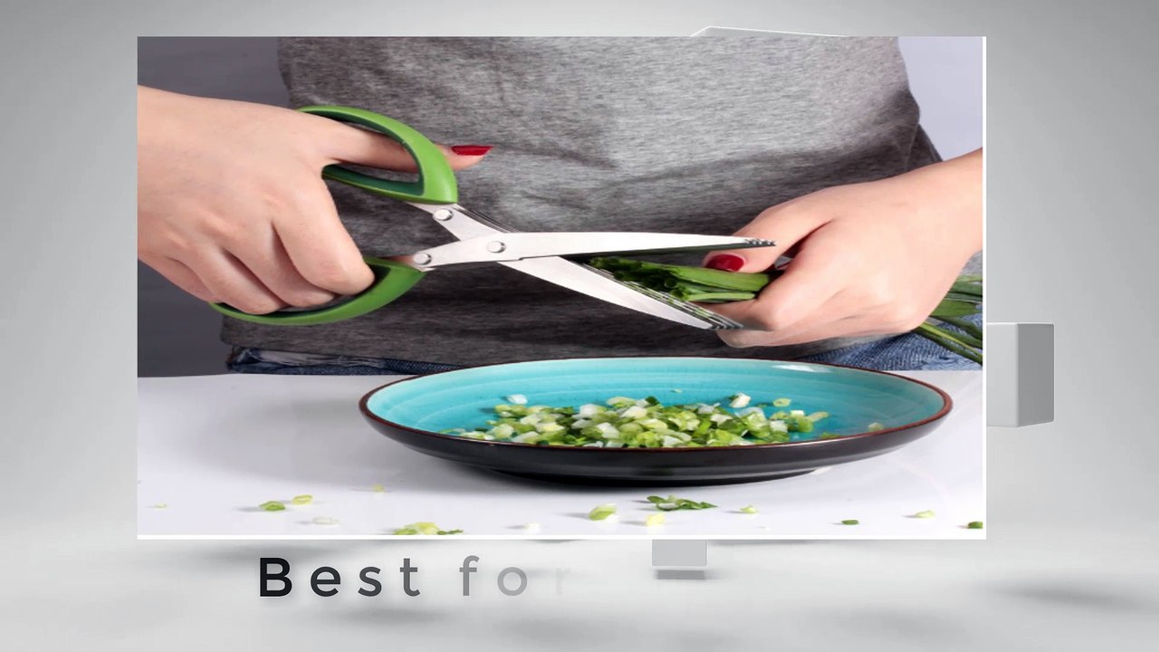 Top 5 Best Kitchen Scissors Reviews
