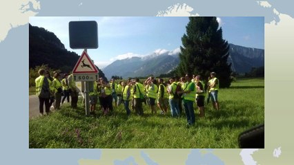 The evolution of Road Ecology reflected through 20 years development of the Infra Eco Network Europe (IENE)