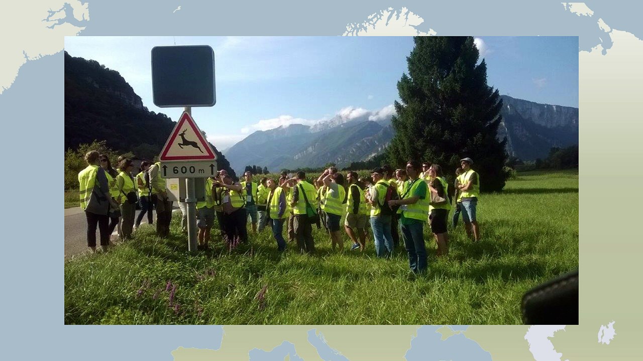 The evolution of Road Ecology reflected through 20 years development of the Infra Eco Network Europe (IENE)