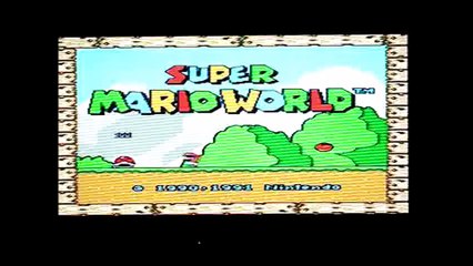 jeu super mario world super nintendo