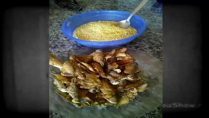 Raul Seixas e os Illuminati no Brasil