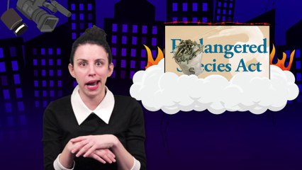 Bad News: Endangered Species Watch Out!