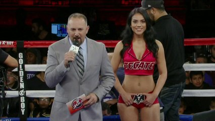 Full Fight: Luis FELICIANO vs. Angel RODRIGUEZ