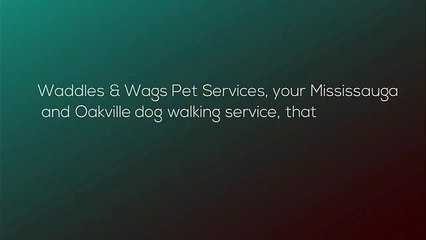 dog walkers mississauga