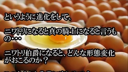 【正体】タマゴ男爵の悪魔の実の能力とは！？酉年にちなんで…！？【ジャンプ考察チャンネル】-GT7pWSc98rs