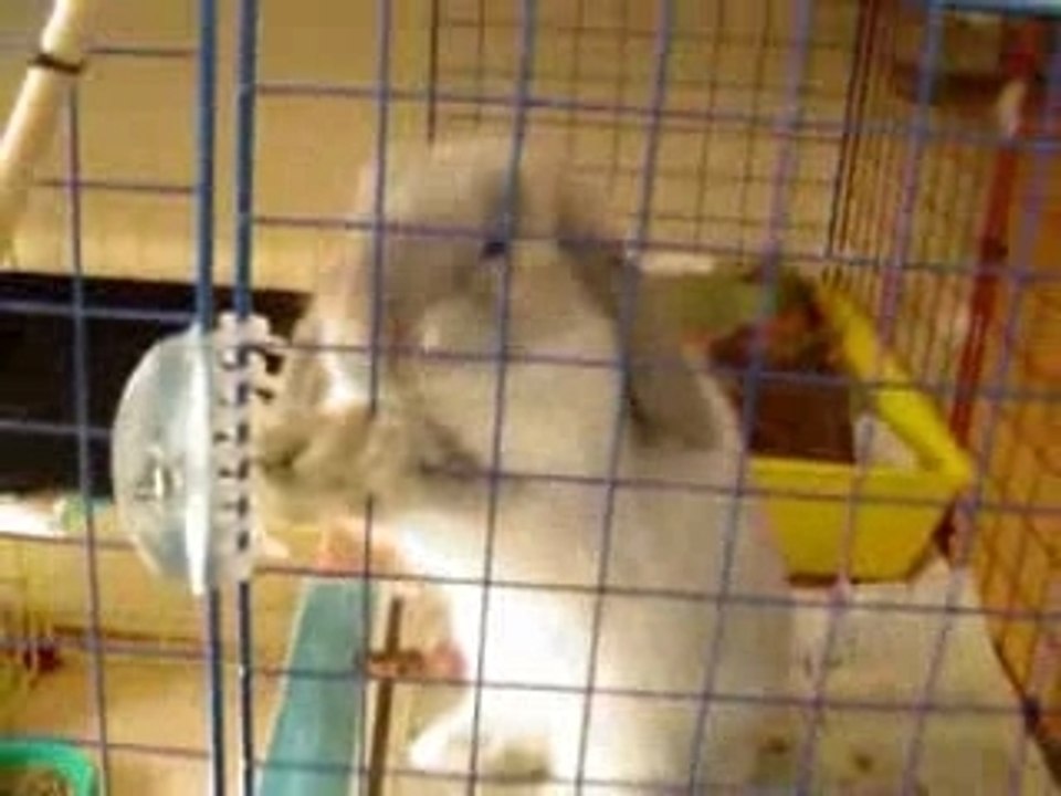 Bailey loooves banana!