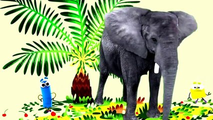 Animal Songs: Dance with the Elephant, by StoryBots
