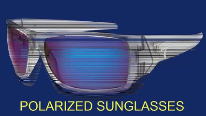 Iridium Polarized Sunglasses