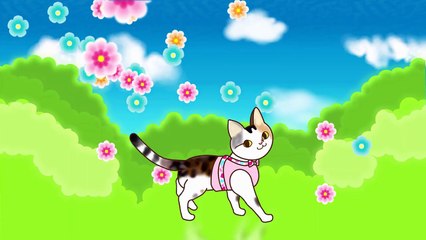 初めて加湿器を見た猫が潤い猫に　A cat who saw a humidifier for the first time-eLFM_qmzbLk