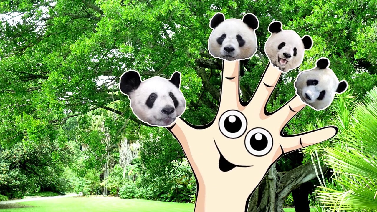 Dedo De La Familia Rimas De Cuarto De Niños | Animal Dedo De La Familia De Las Canciones De La Colección | Aprende Los Animales Salvajes