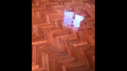 İstanbul Pendik Kurtköy Petekçiler Sitesi' nde Satılık 3+1 Daire