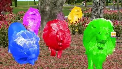 Lion 3D Colorfull Colors Song Collection, Learning Colors With Wild Animal Cartoons Childr