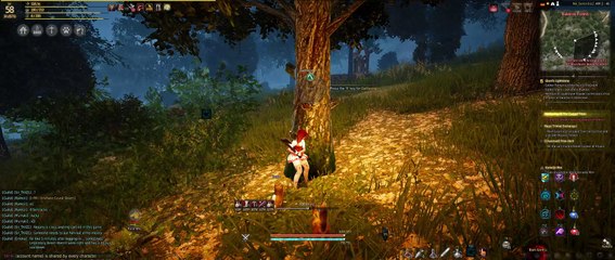 Legendary Beast Bug - Tamer - BDO - Cooldown stuck