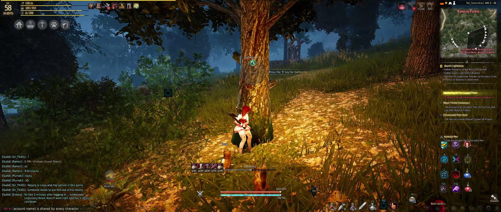 Legendary Beast Bug - Tamer - BDO - Cooldown stuck