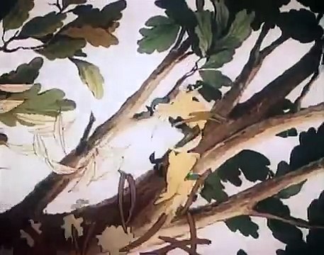 Сказка старого дуба. Советские мультфильмы. Союзмультфильм. StarMediaKids