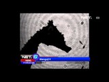 NET17 - Kuda laut memiliki kemampuan memangsa yang hanya bisa dilihat dalam rekaman gerak lambat