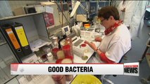 Korean scientists modify food poisoning bacteria to fight cancer