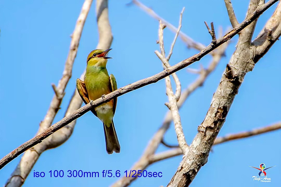 birds & Moon Review tamron 70 300 di vc usd นกและดวงจันทร์