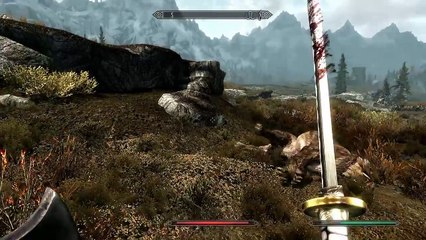 Weird Flying Sabertooth Tiger SKYRIM