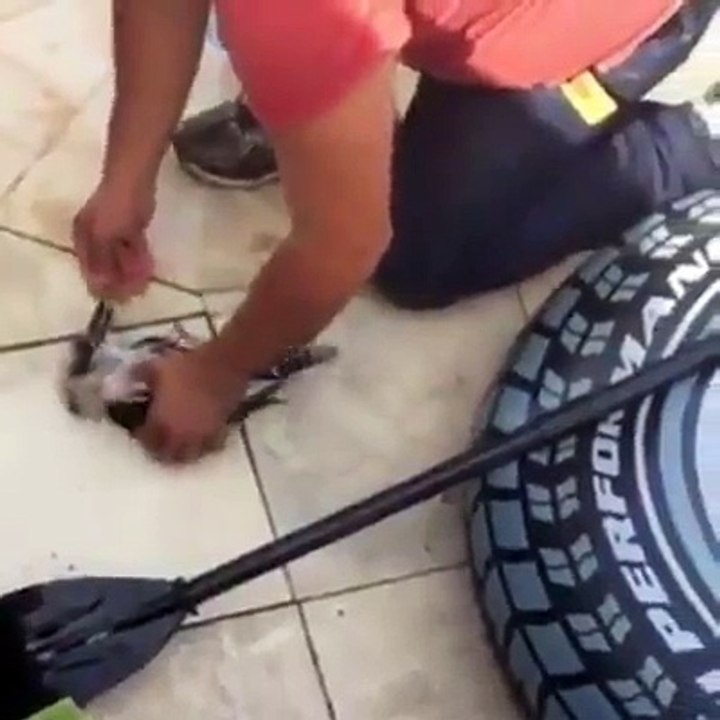 Incroyable réanimation