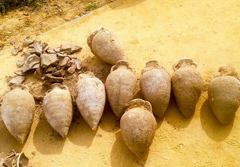 اكبر كنز روماني