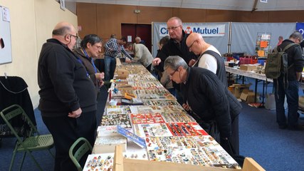 Une quarantaine d'exposants à la bourse multicollections