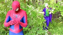 SPIDERMAN & FROZEN ELSA - Giant GUMMY BEAR w/ Joker - Giant Candy - Superhero Fun in Real