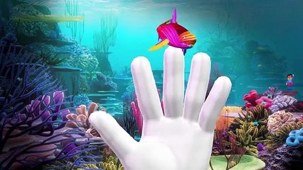 Rainbow Colors Wild Animals Finger Family Nursery Rhymes | Elephant Horse Gorilla Lion Tig