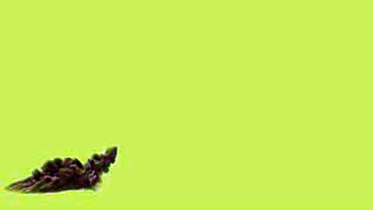 black smoke green screen effect