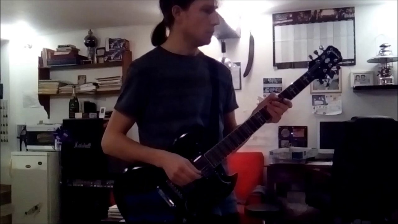 Aurel's guitar Reise reise