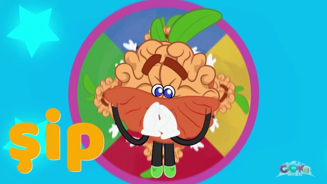 Ceviz Adam Şarkısı - Bebek Şarkıları 2016