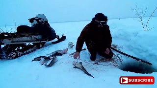 Online fishing videos: Ice fishing Big Fish 2017