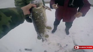 Ice Fishing Videos