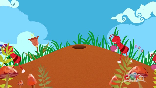 Ceviz Adam Şip Şap Şup Şarkısı - Bebek Şarkıları 2016