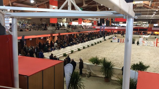 Salon des étalons de Saint-Lô