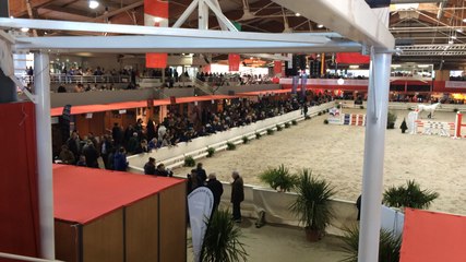 Salon des étalons de Saint-Lô